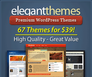 Elegant WordPress Themes